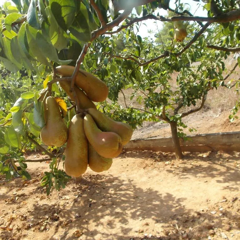 La Mirage Διαμέρισμα Néa Fókaia