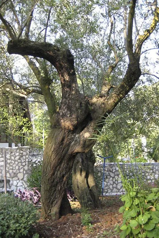 La Mirage Διαμέρισμα Néa Fókaia 0*,  Ελλάδα